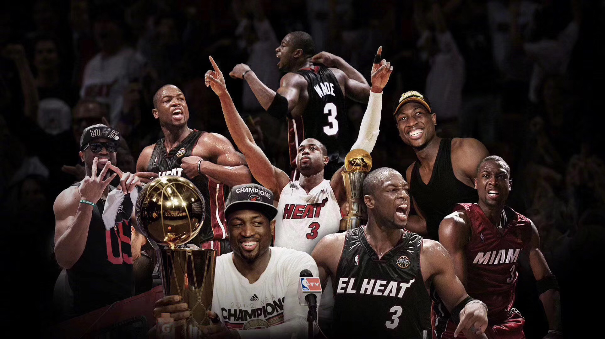 特点各异 特点各异