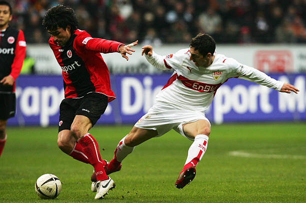 满活力的球 满活力的球